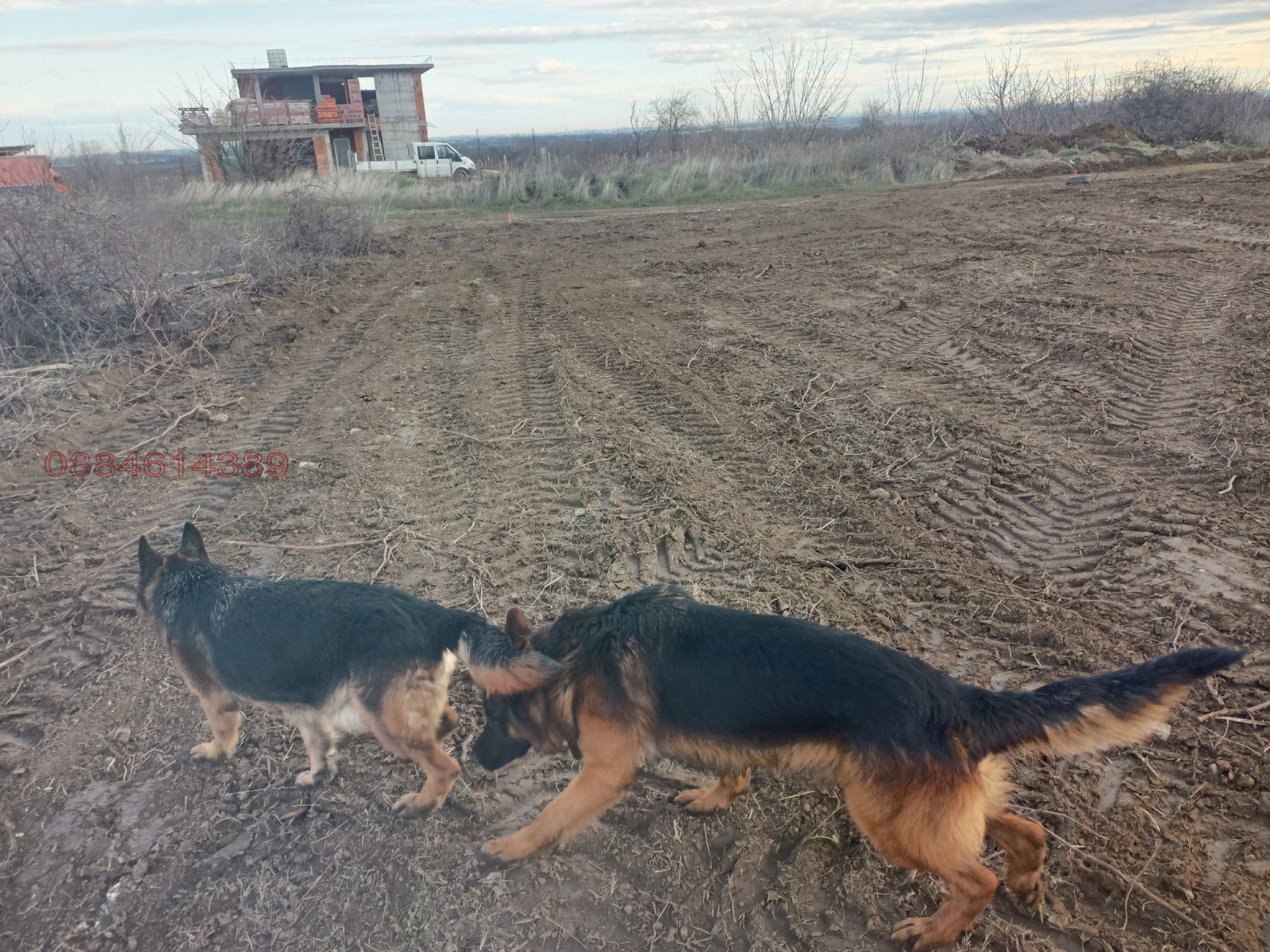 ������� ���������� ���� | Imot.bg � ����������� 7