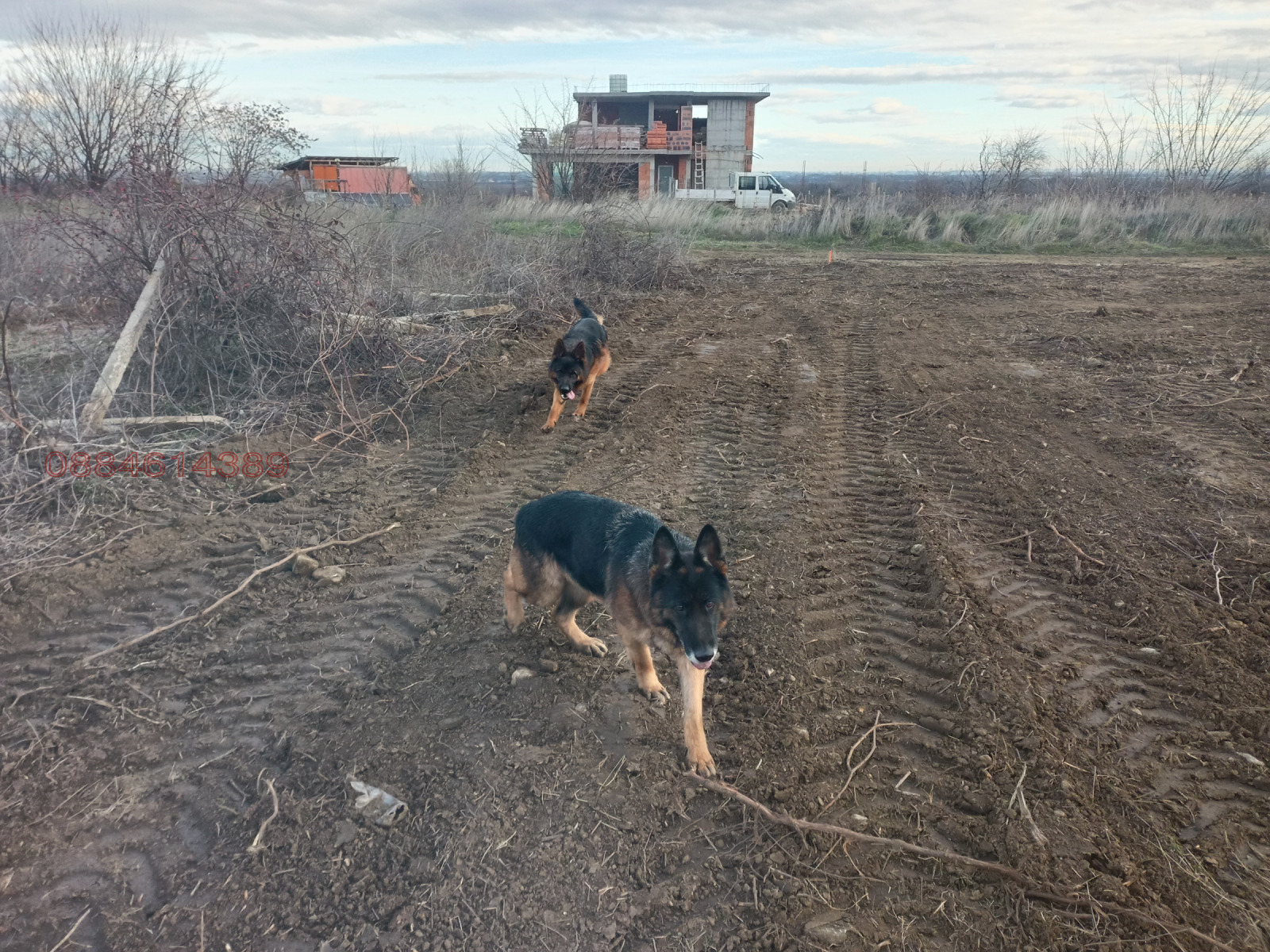 ������� ���������� ���� | Imot.bg � ����������� 2