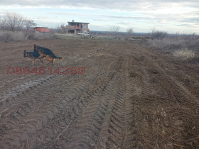 ������� ���������� ���� | Imot.bg � ����� ������ 12