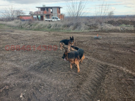 ������ ������� ���������� ����