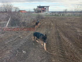 ������� ���������� ���� | Imot.bg � ����� ������ 2