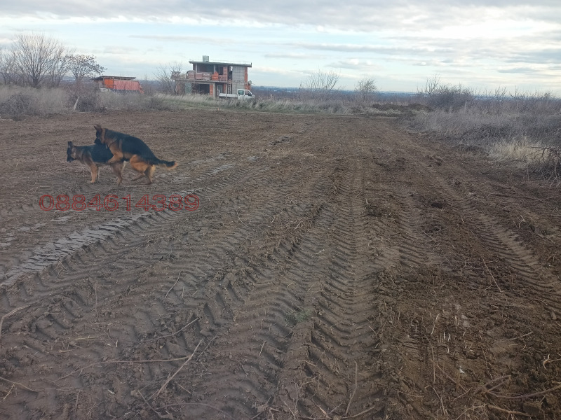 Продава ЗЕМЕДЕЛСКА ЗЕМЯ, с. Брестник, област Пловдив, снимка 11 - Земеделска земя - 53105222