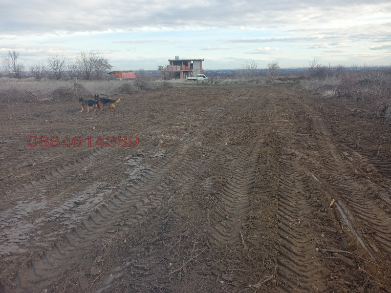 Продава ЗЕМЕДЕЛСКА ЗЕМЯ, с. Брестник, област Пловдив, снимка 7 - Земеделска земя - 53105222