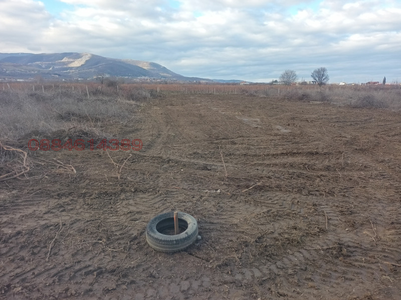 Продава ЗЕМЕДЕЛСКА ЗЕМЯ, с. Брестник, област Пловдив, снимка 3 - Земеделска земя - 53105222