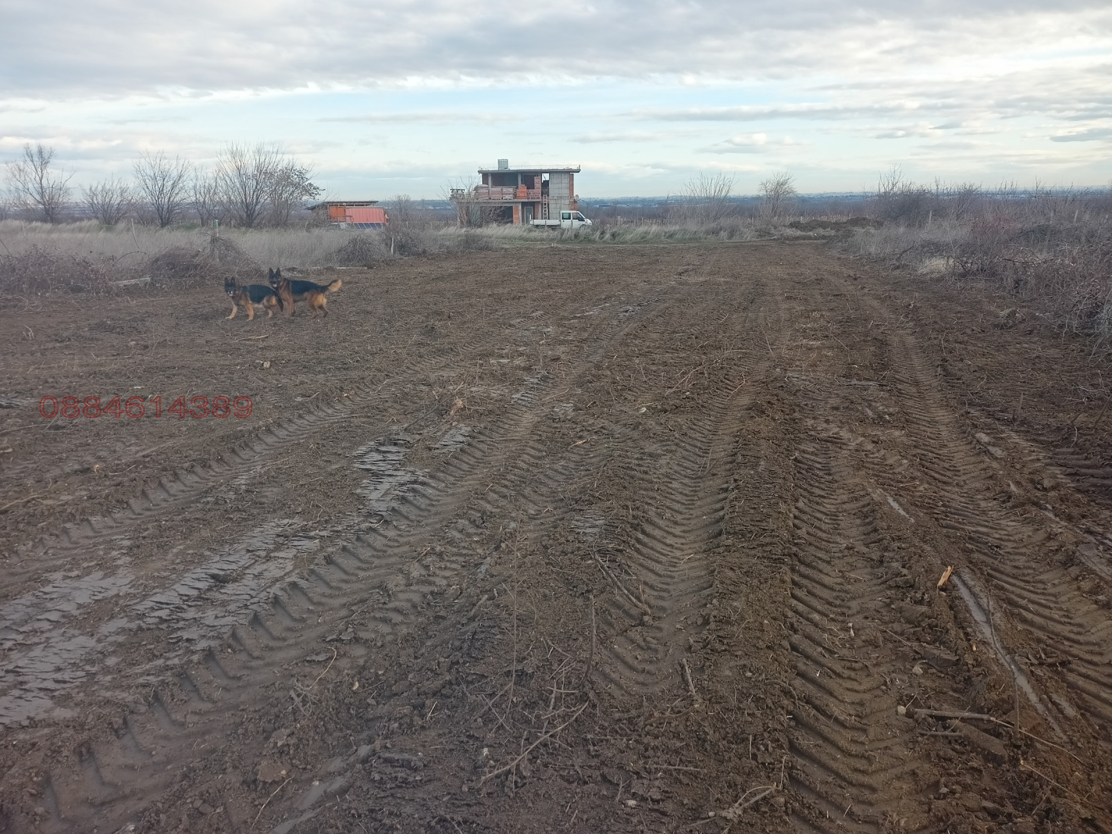 Продава ЗЕМЕДЕЛСКА ЗЕМЯ, с. Брестник, област Пловдив, снимка 7 - Земеделска земя - 53776955