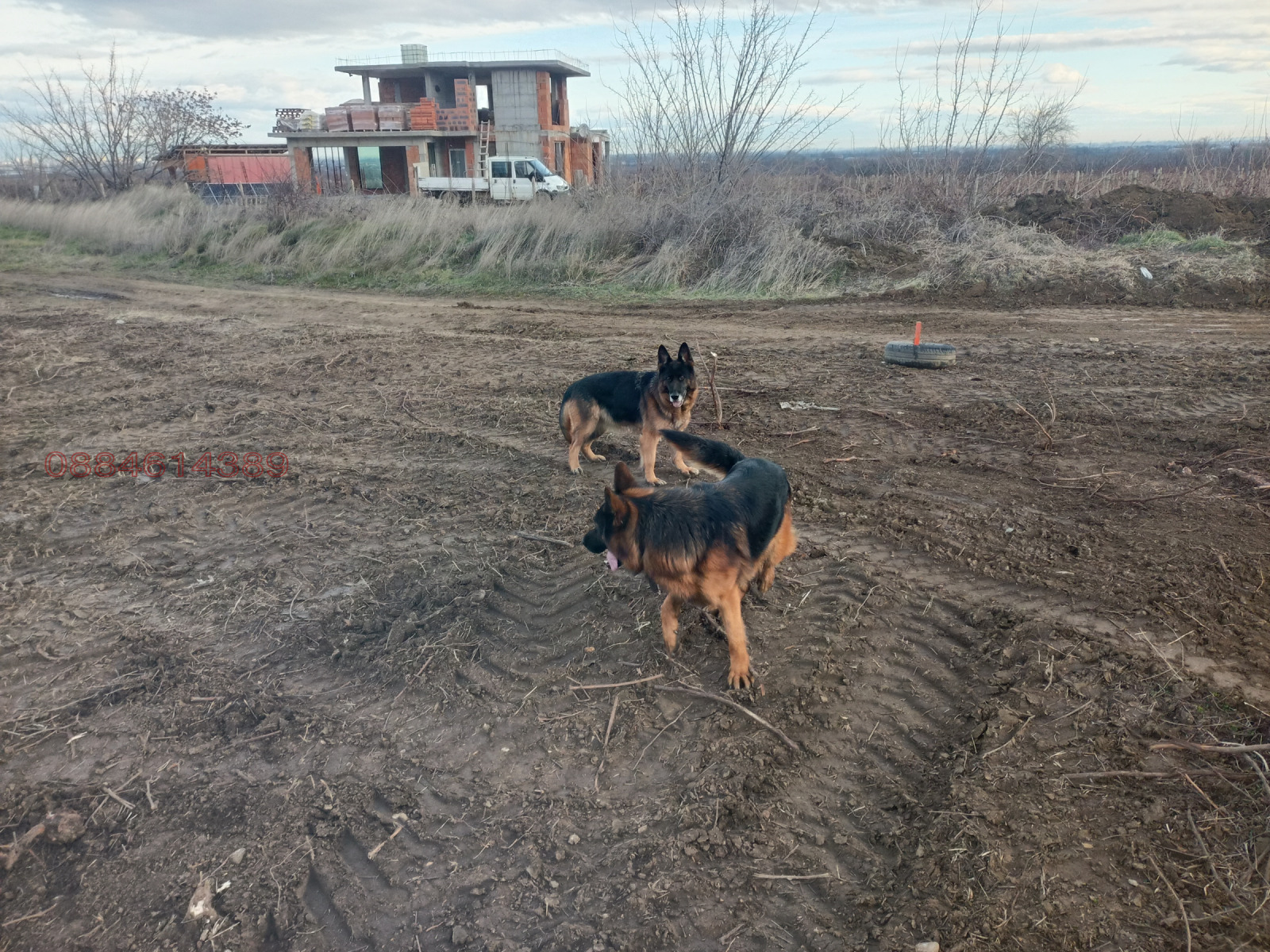 Продава ЗЕМЕДЕЛСКА ЗЕМЯ, с. Брестник, област Пловдив
