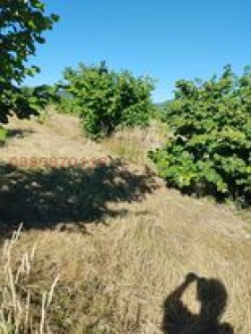 ������� ������ | Imot.bg � ����������� 1