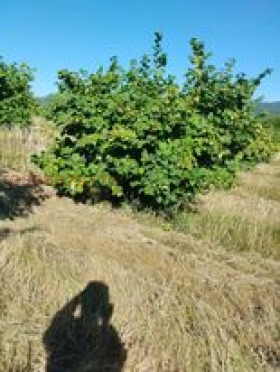 ������� ������ | Imot.bg � ����������� 2