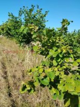 ������� ������ | Imot.bg � ����������� 3