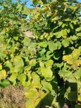 ������� ������ | Imot.bg � ����������� 4