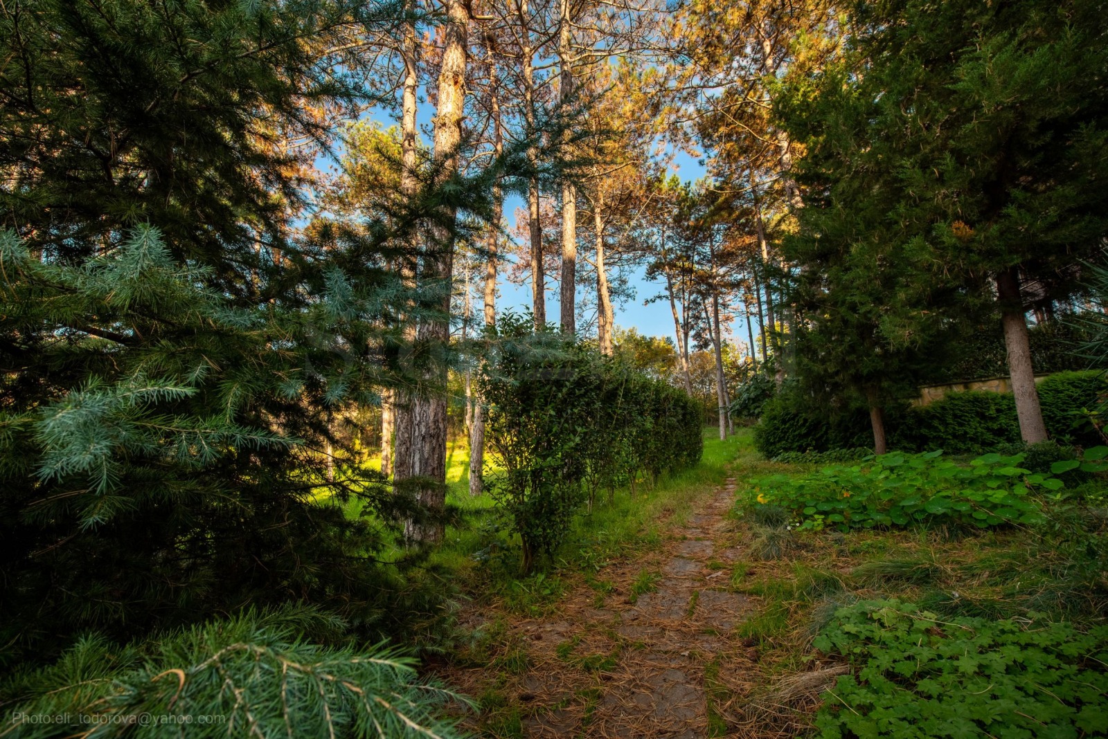 ������� 3-����� | Imot.bg � ����������� 9