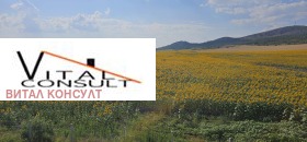 ������� ������ | Imot.bg � ����� ������ 7