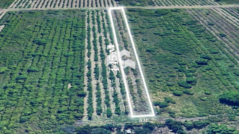 Продава ПАРЦЕЛ, с. Марково, област Пловдив, снимка 2 - Парцели - 53508571