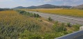 Продава ПАРЦЕЛ, гр. Сливница, област София област, снимка 4