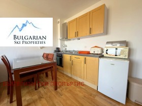 Studio Bansko, region Blagoevgrad 6