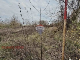 ������ ������� ������