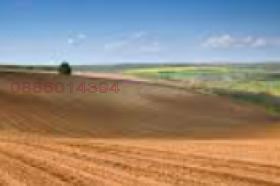 ����� ������� ���������� ����,��. ���������, ������ ������