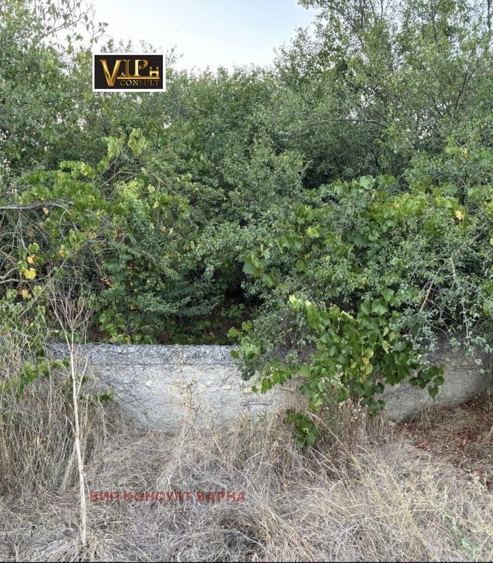 Продава ПАРЦЕЛ, с. Генерал Колево, област Варна, снимка 2 - Парцели - 54363192