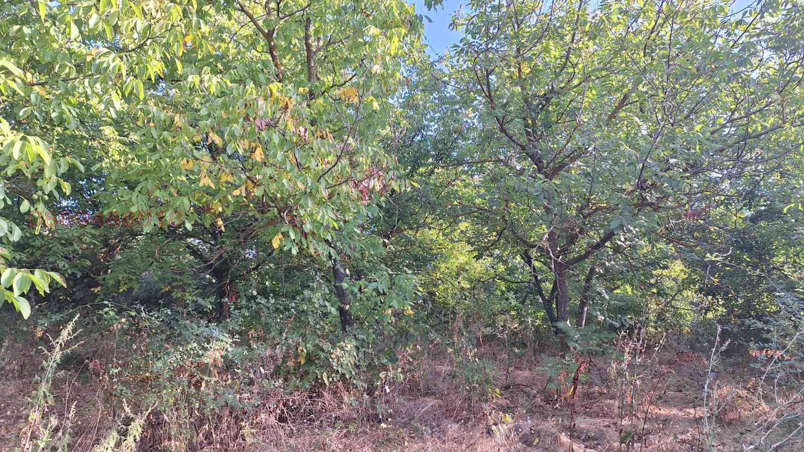 Продава КЪЩА, с. Могилово, област Стара Загора, снимка 6 - Къщи - 55671783