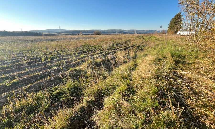 Продава ПАРЦЕЛ, с. Широки дол, област София област, снимка 2 - Парцели - 53809994