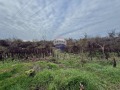 Продава ПАРЦЕЛ, с. Кранево, област Добрич, снимка 2