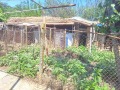 Продава  Къща област Плевен , с. Обнова , 150 кв.м | 69299023 - изображение [2]