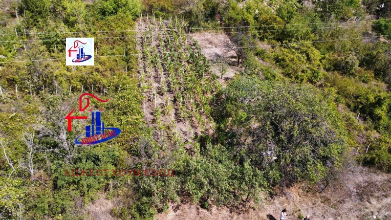 Продава ПАРЦЕЛ в област Шумен, с. Осмар - 602 кв.м / 11 500 € » 22 492.05 лв., АДЖЕСТ ХОУМ ЕООД