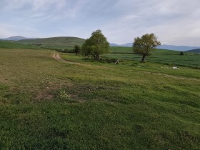 Οικόπεδο Ραζλογ, περιοχή Μπλαγκόεβγκραντ 7