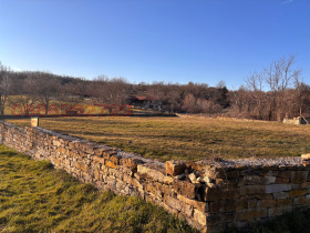 ����� ������� ������,�. ������, ������ �������