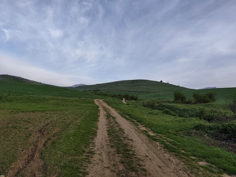 Na prodej  Spiknutí oblast Blagoevgrad , Razlog , 4129 m2 | 73828089 - obraz [2]