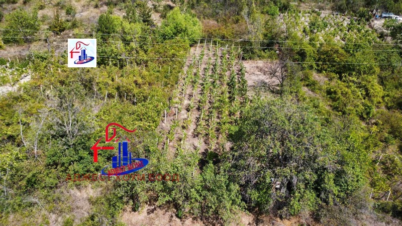 À vendre  Parcelle région Choumen , Osmar , 602 m² | 84164812 - image [2]