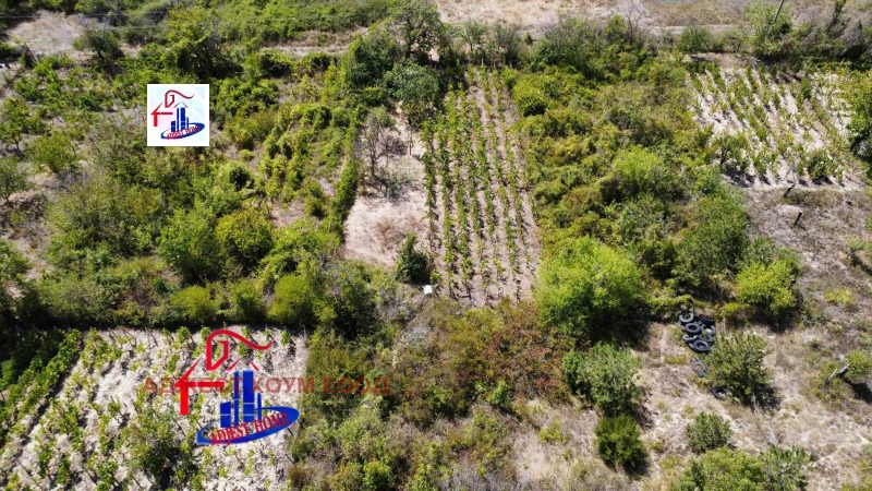 À vendre  Parcelle région Choumen , Osmar , 602 m² | 84164812 - image [6]