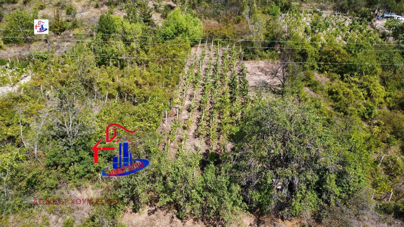 Продава ПАРЦЕЛ, с. Осмар, област Шумен, снимка 2 - Парцели - 51722771