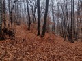 Продава ПАРЦЕЛ, гр. Разлог, област Благоевград, снимка 2