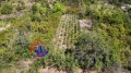 Продава ПАРЦЕЛ, с. Осмар, област Шумен, снимка 2