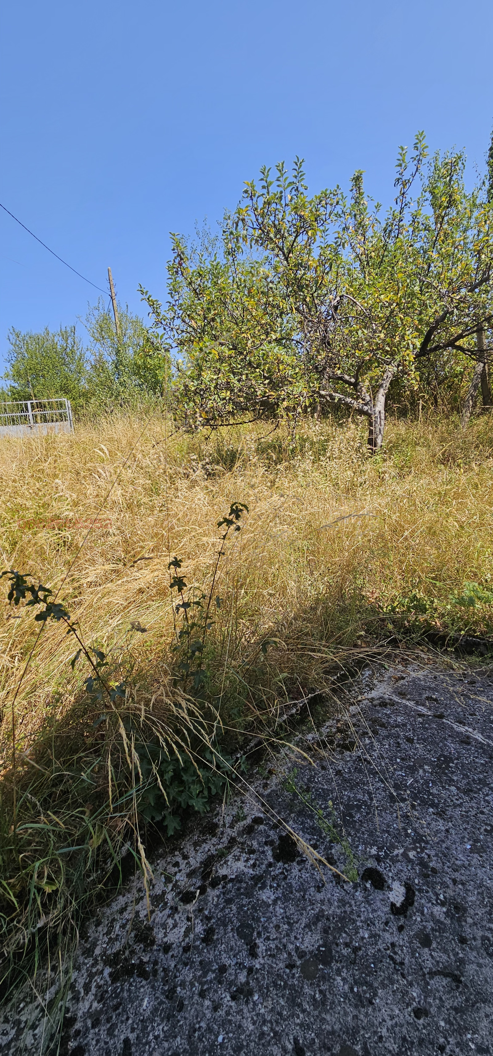 ������� 2-����� | Imot.bg � ����������� 7