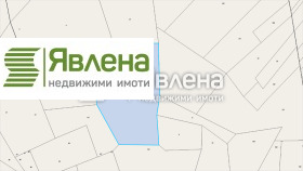 ������ ������� ������