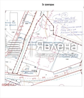 ����� ������� ������,��. ������, ������ �����