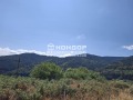 Продава КЪЩА, с. Орешец, област Пловдив, снимка 4
