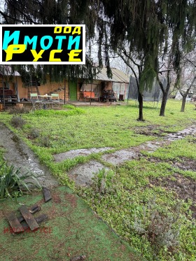 ������ ������� ����