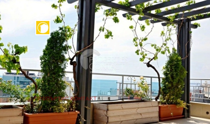 Na prodej  1 ložnice oblast Burgas , Sveti Vlas , 92 m2 | 94389954 - obraz [11]