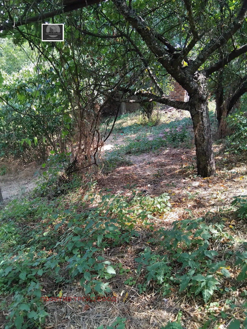 En venta  Casa región Kyustendil , Mlamolovo , 100 metros cuadrados | 17468669 - imagen [4]