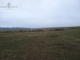 ������ ������� ������