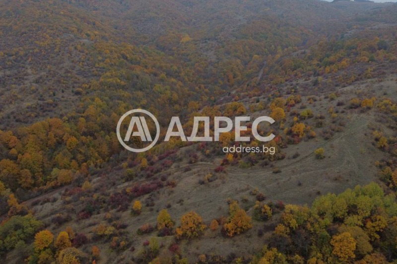 Na prodej  Spiknutí oblast Pernik , Divotino , 600 m2 | 10314291 - obraz [6]