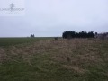 Продава ПАРЦЕЛ, с. Близнаци, област Варна, снимка 2