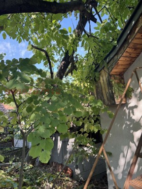 ������� ���� | Imot.bg � ����� ������ 11