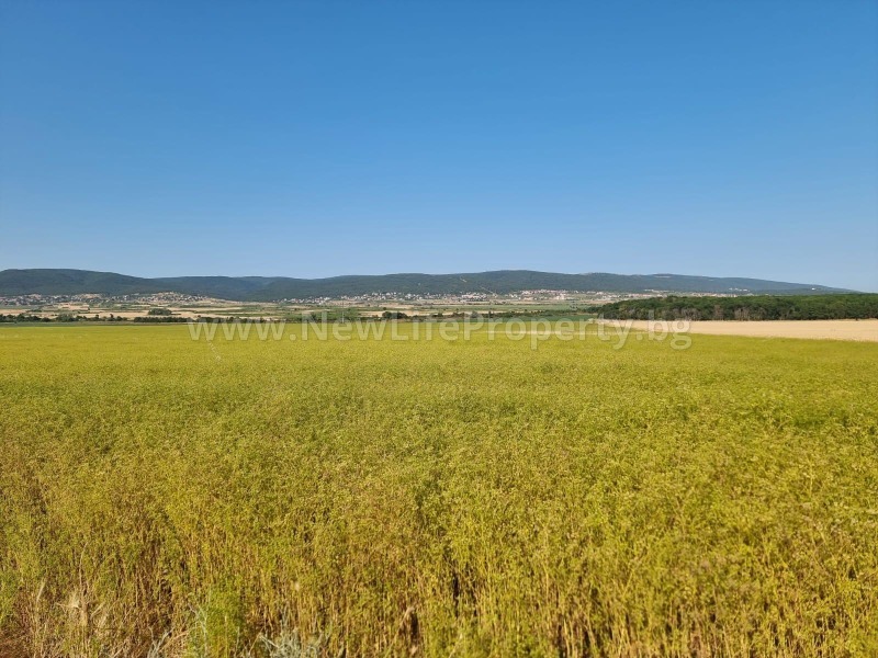 Til salg  Jord region Burgas , Tankovo , 8 dka | 47420479 - billede [7]