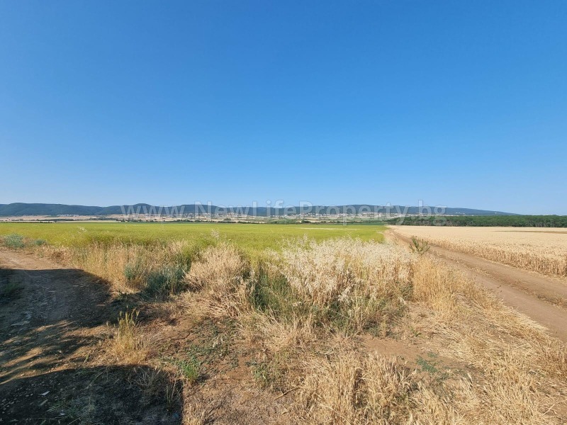 Til salg  Jord region Burgas , Tankovo , 8 dka | 47420479 - billede [3]