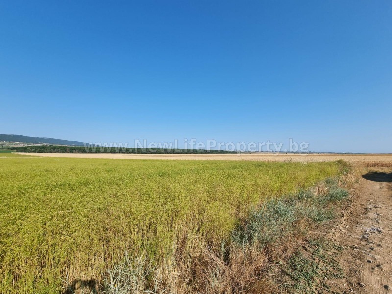 Til salg  Jord region Burgas , Tankovo , 8 dka | 47420479 - billede [2]