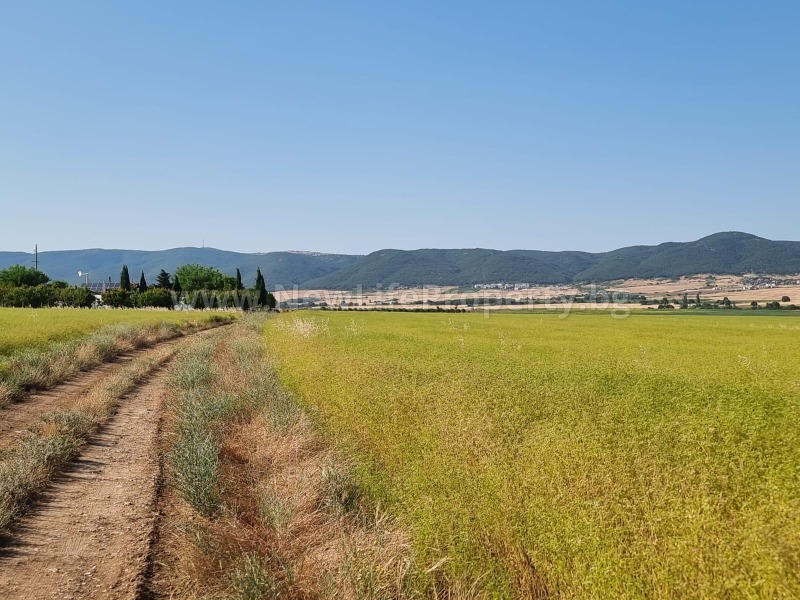 Til salg  Jord region Burgas , Tankovo , 8 dka | 47420479 - billede [5]